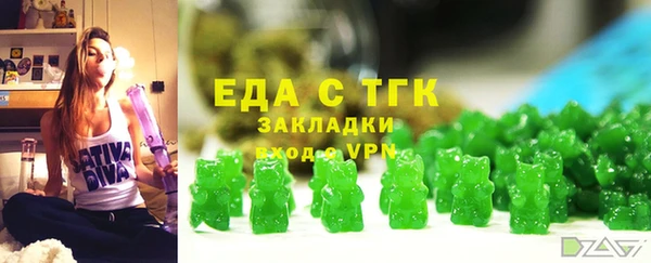индика Бронницы