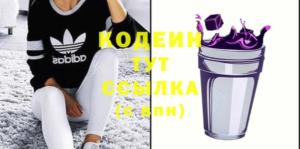 индика Бронницы