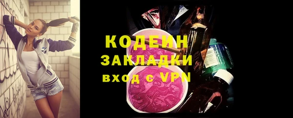 индика Бронницы