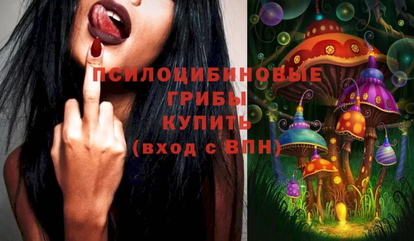 молекула духа Бугульма