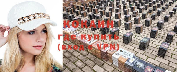 индика Бронницы