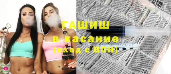 индика Бронницы