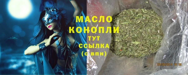 индика Бронницы