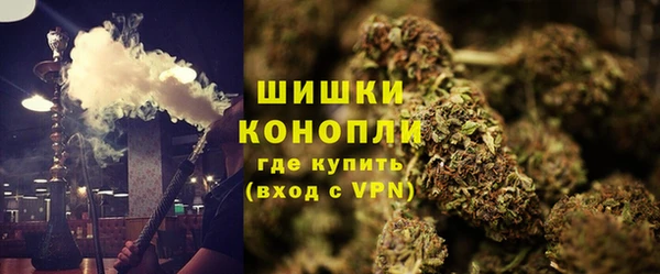 молекула духа Бугульма
