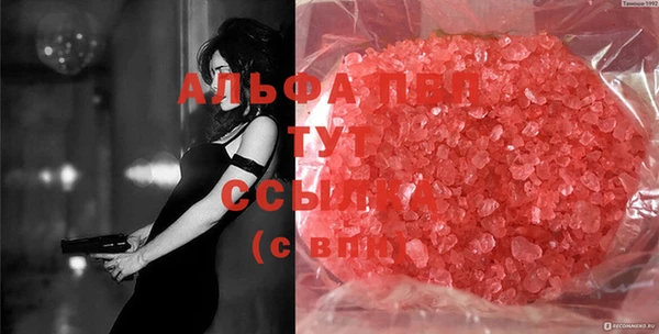 индика Бронницы