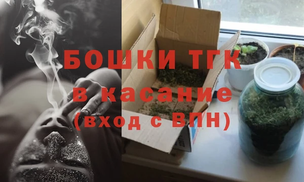 молекула духа Бугульма