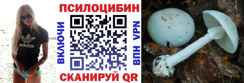 Псилоцибиновые грибы Cubensis  Купить  Сальск 